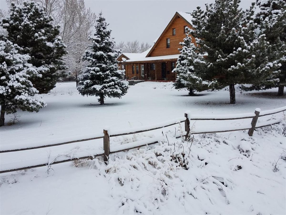 Quarter Horse Inn & Lodge Williams Exterior photo